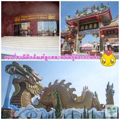 พาน้องท่องโลกกว้าง
